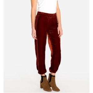 Johnny Was velvet joggers